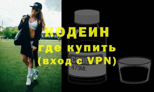 прущие грибы Белая Холуница