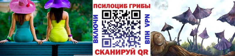 где купить   Зуевка  Галлюциногенные грибы прущие грибы 